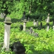 legnica-cmentarz-zydowski-5