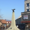 zywiec-pl-grunwaldzki-2-pomnik