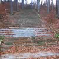cierniak-schody-3.jpg