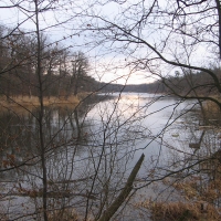 jezioro-dziewicze-5.jpg