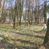 kepno-cmentarz-ewangelicki-9