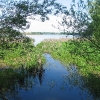 las-roszkowice-jezioro-laka