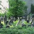 legnica-cmentarz-zydowski-1