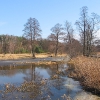 murow-rzeka-budkowiczanka-rozlewisko