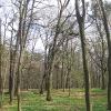 obora-arboretum-2