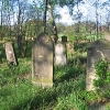 olesno-cmentarz-zydowski-4
