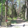 pruskow-krzyz-w-lesie