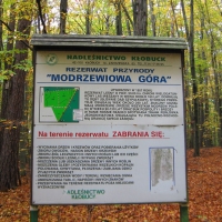 rezerwat-modrzewiowa-gora-1.jpg