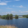 szczedrzyk-jezioro-turawskie-06