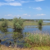 szczedrzyk-jezioro-turawskie-09