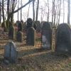 wielowies-cmentarz-zydowski-2
