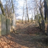 wielowies-cmentarz-zydowski-5