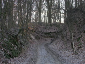 Szlak zielony rowerowy Pierwoszów - Brochocin - Trzebnica